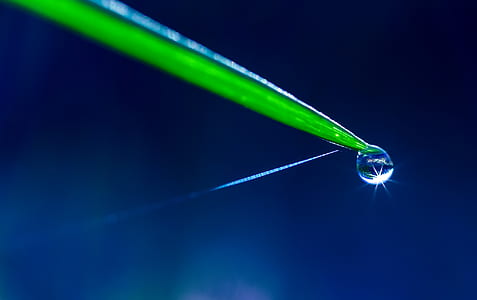 water, grass, dew, drop of water thumbnail