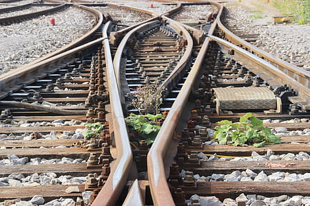 brown metal railway with plants thumbnail