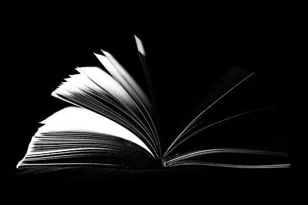 Low Light Photo of Opened Book thumbnail