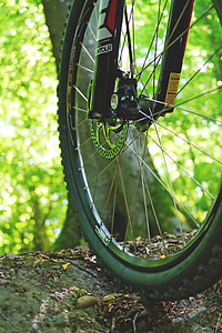 close-up photography of bicycle tire on ground near tree during daytime thumbnail