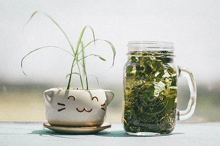 healthy, cup, glass, table thumbnail