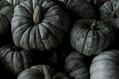 file of squash thumbnail