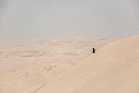 person standing on sand dune thumbnail