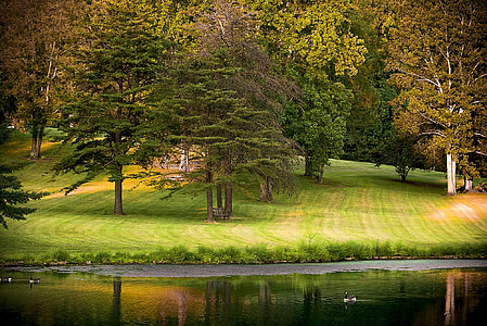 landscape photo of green leafed trees with body of water thumbnail
