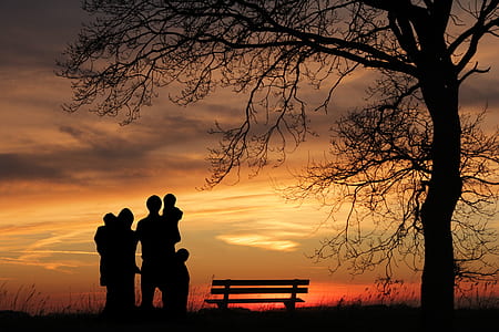 silhouette of family standing near bench and bare tree during sunset thumbnail