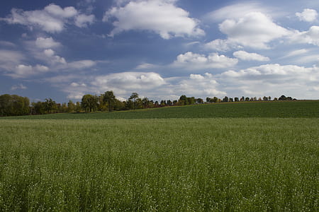 landscape photography of green field thumbnail