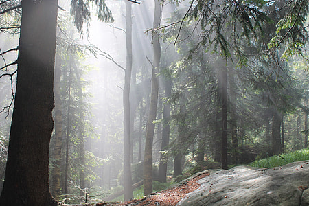 Erratic Rocks, Kudowa Zdrój thumbnail