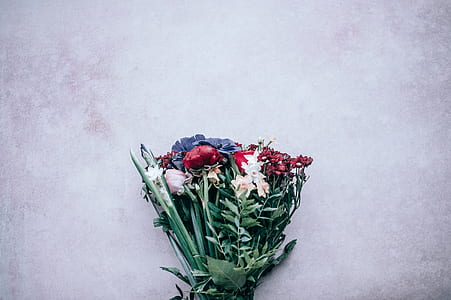 red and white rose flowers bouquet thumbnail