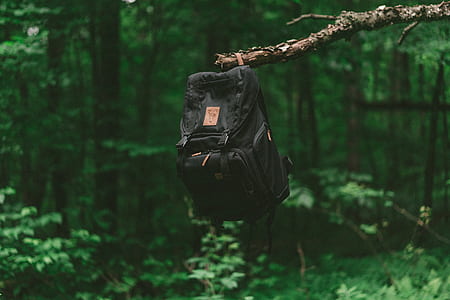 selective focus photography of black backpack hanging on brown tree branch during daytime thumbnail