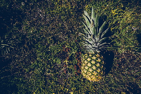 grass, leaves, pineapple, green thumbnail