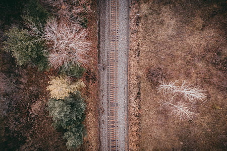 aerial photo of train track near forest thumbnail