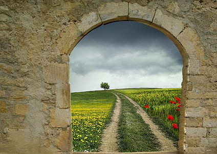 road surrounded by grass under cloudy sky during daytime thumbnail