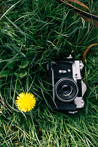 Woman with vintage camera in the field of blooming rapes thumbnail