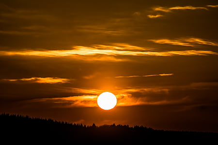 silhouette of trees at sunset thumbnail