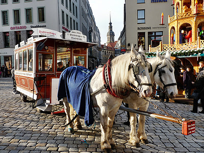 Horse Drawn Carriage, Carriage Rides thumbnail
