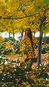 woman underneath yellow and green tree thumbnail