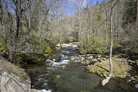 Scenic landscape of the River in Great Smoky Mountains National Park, North Carolina thumbnail