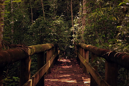 brown and black wooden fence thumbnail