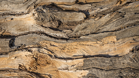 brown wood thumbnail