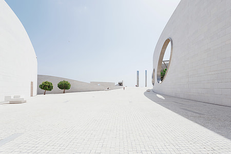 two green trees near white building thumbnail