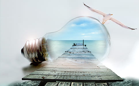 clear light bulb and gray wooden ocean dock illustration thumbnail