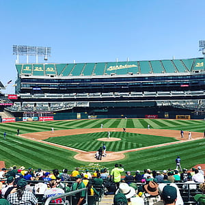 people gathered at the baseball stadium thumbnail