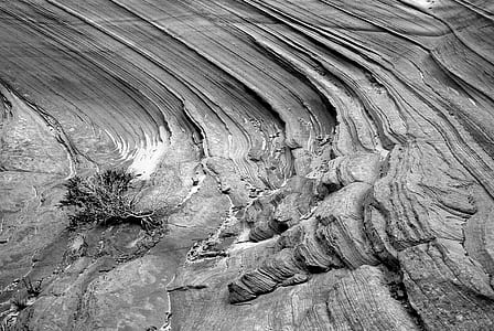 Grayscale Photo of Rocky Terrain thumbnail
