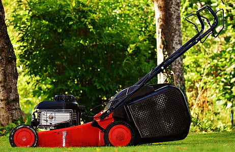 red and black lawn mower beside trees thumbnail