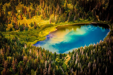 aerial photography of body of water surround by trees thumbnail