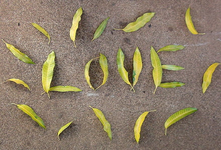 green leaves on gray surface thumbnail
