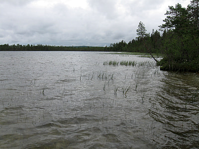 Lake Kalettomanlampi landscape in Puolanka, Finland thumbnail