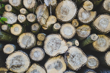 aerial photo of wood slab thumbnail