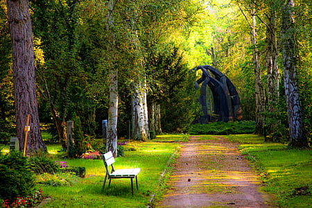 white bench near green leaf tree thumbnail