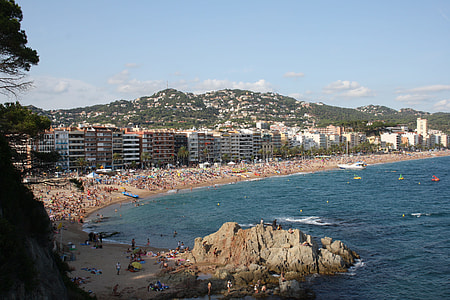 aerial view of body of water thumbnail