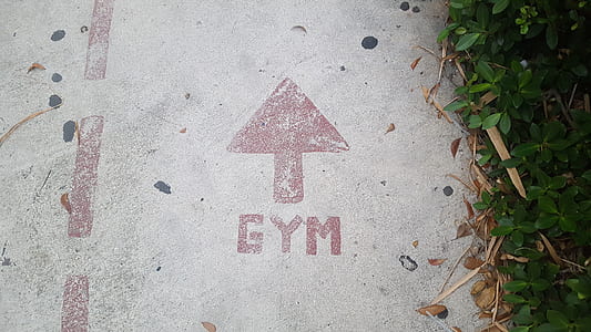 Gym arrow sign beside green leaves thumbnail