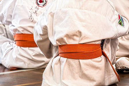Karate Orange Belts in a Dojo thumbnail