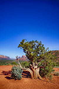 landscape, nature, sky, sand thumbnail