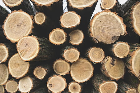 pile of log thumbnail