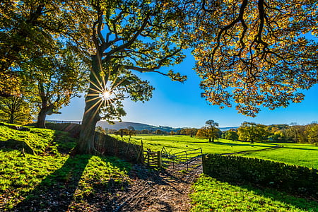 green grass lawn during thumbnail