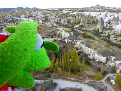 green animal puppet looking down on green leafed trees at daytime thumbnail
