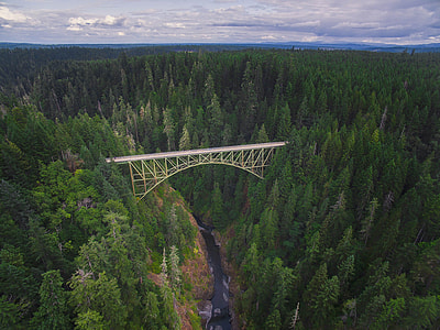 white steel bridge on the middle of green trees thumbnail