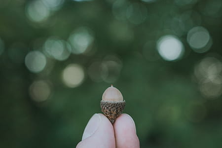 Person Holding Gray Accessory thumbnail
