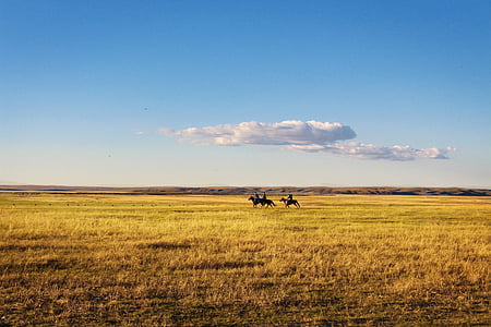 three person riding black horse at yellow field at daytime thumbnail