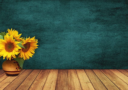 sunflowers in vase near green wall thumbnail