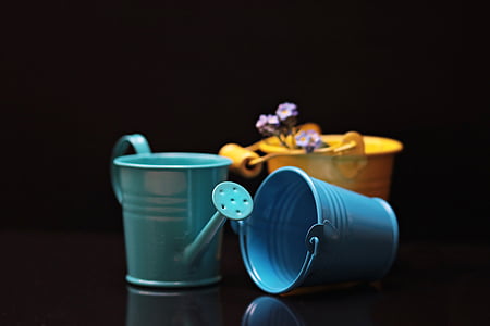 green watering can beside blue and yellow buckets thumbnail