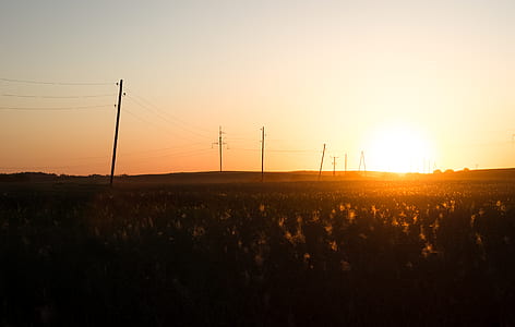 landscape photo of grass field during sunset thumbnail
