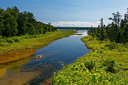 Photo of River Surrounded by Grass thumbnail