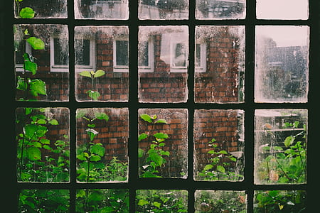 black metal window grill in front of house thumbnail