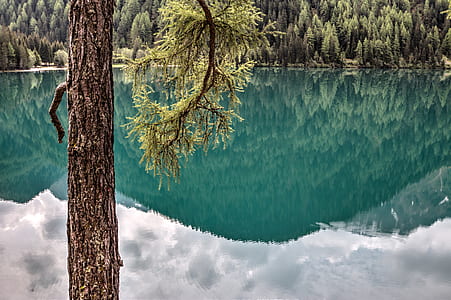 landscape, nature, sky, water thumbnail