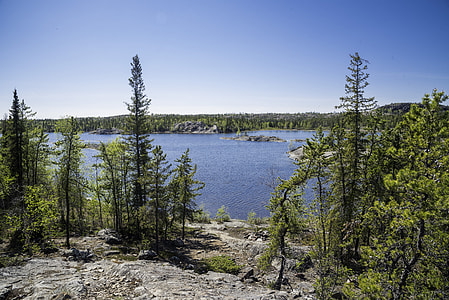 Looking at Vee Lake on a Clear Day with pine trees in Yellowknife thumbnail